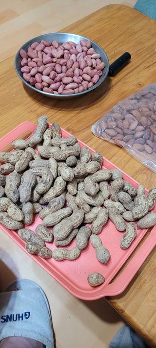 땅땅님의 기타작물 · 자유게시판 작성글 사진