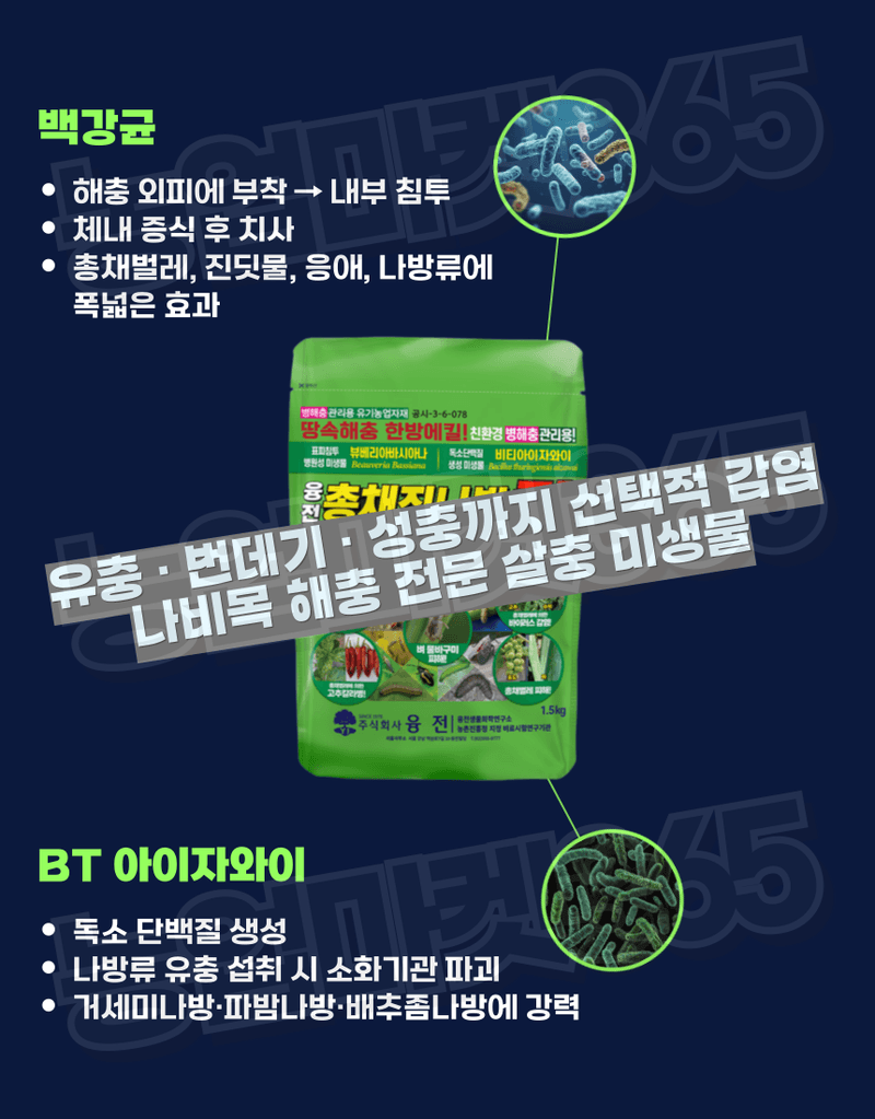 농업마켓365님의 장터 판매 상품 [농업마켓365 융전 총채진나방킬 1.5kg 유기농업자재 친환경토양살충제 총채벌레 나방벌레 진딧물 살충 한방에 킬] 첨부 사진