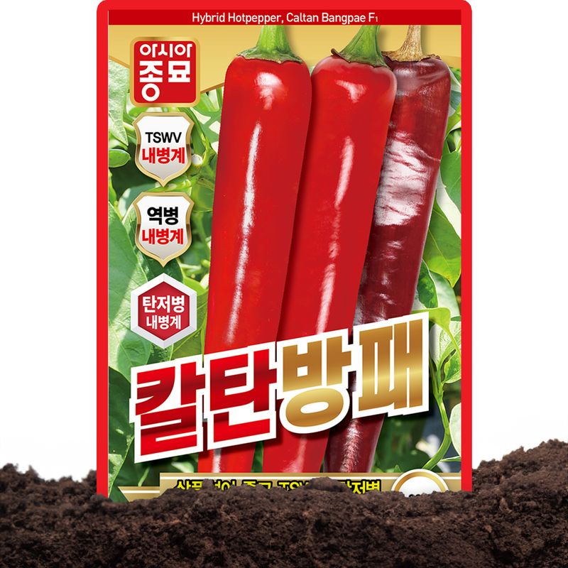 산들마켓,씨앗마켓님의 장터 판매 상품 [산들마켓 칼탄방패 고추 씨앗 1200립 중간매운맛 복합내병계 중생계 대과종 고추씨 종자] 첨부 사진