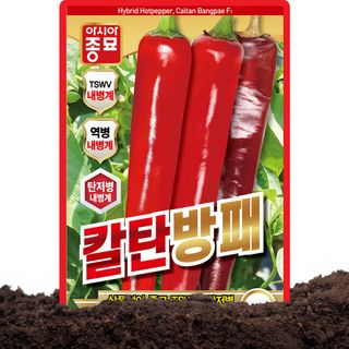 산들마켓,씨앗마켓님의 작성글 사진