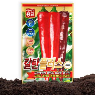 산들마켓,씨앗마켓님의 작성글 사진