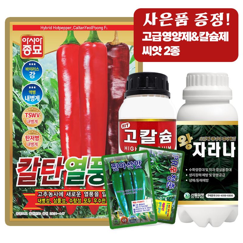 산들마켓,씨앗마켓님의 장터 판매 상품 [산들마켓 칼탄열풍 고추 씨앗 1200립 복합내병계 대과종 중조생종 고추씨 종자] 첨부 사진