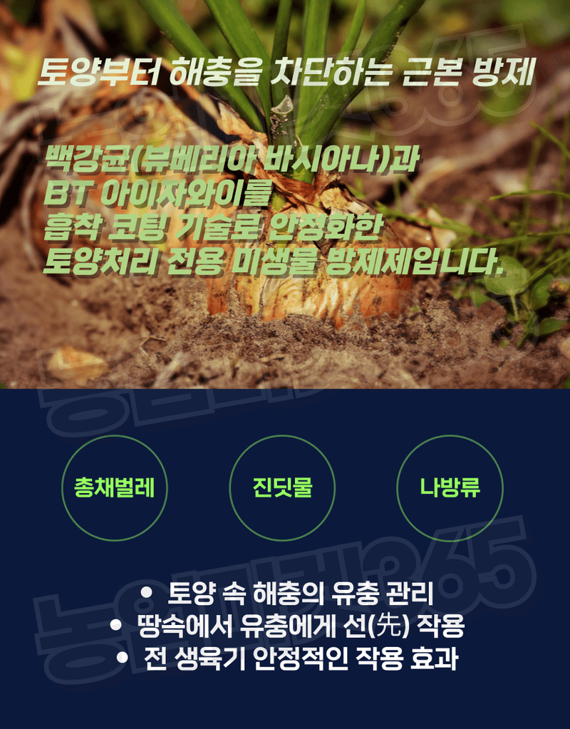 농업마켓365님의 장터 판매 상품 [농업마켓365 융전 총채진나방킬 1.5kg 유기농업자재 친환경토양살충제 총채벌레 나방벌레 진딧물 살충 한방에 킬] 첨부 사진