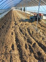 팜모닝 자유주제·자유게시판 게시글 이미지