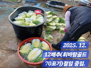 박성민님의 자유주제 · 자유게시판 작성글 사진