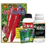 팜모닝 · 게시글 이미지