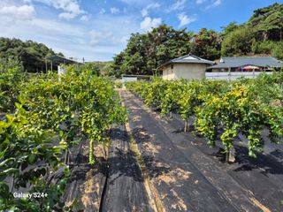 전홍열님의 작성글 사진