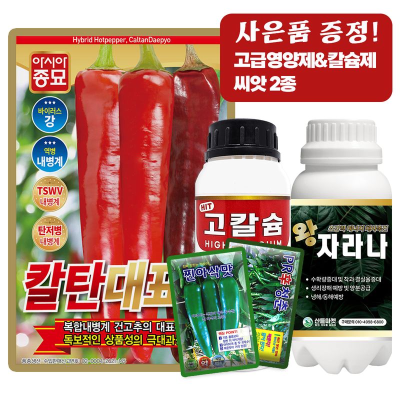 산들마켓,씨앗마켓님의 장터 판매 상품 [산들마켓 칼탄대표 고추 씨앗 1200립 사은품 4종증정 복합내병계 극대과종 중조생종 건고추씨 종자] 첨부 사진
