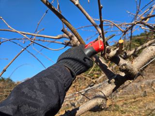 노고단님의 자유주제 · 자유게시판 작성글 사진