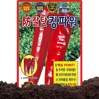 산들마켓,씨앗마켓님의 작성글 사진