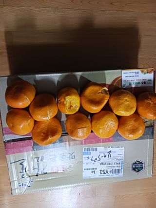 참깨16159p.m님의 작성글 사진