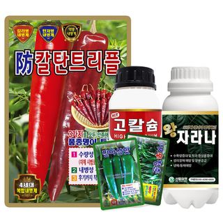 산들마켓,씨앗마켓님의 작성글 사진