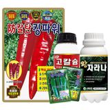 팜모닝 · 게시글 이미지