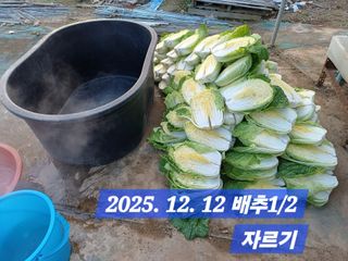 박성민님의 자유주제 · 자유게시판 작성글 사진