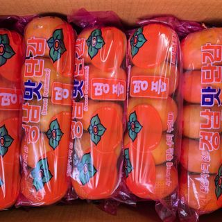 독고다이님의 작성글 사진