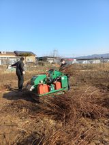 팜모닝 자유주제·자유게시판 게시글 이미지