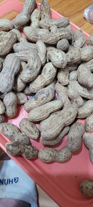 땅땅님의 기타작물 · 자유게시판 작성글 사진