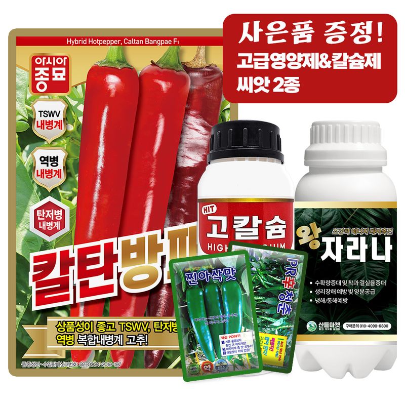 산들마켓,씨앗마켓님의 장터 판매 상품 [산들마켓 칼탄방패 고추 씨앗 1200립 중간매운맛 복합내병계 중생계 대과종 고추씨 종자] 첨부 사진