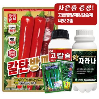산들마켓,씨앗마켓님의 작성글 사진