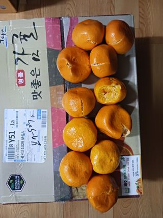 참깨16159p.m님의 작성글 사진