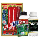 팜모닝 · 게시글 이미지