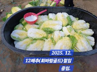 박성민님의 자유주제 · 자유게시판 작성글 사진