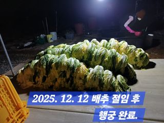 박성민님의 자유주제 · 자유게시판 작성글 사진