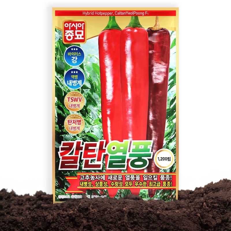 산들마켓,씨앗마켓님의 장터 판매 상품 [산들마켓 칼탄열풍 고추 씨앗 1200립 복합내병계 대과종 중조생종 고추씨 종자] 첨부 사진