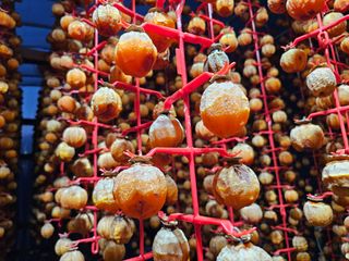 백용기님의 자유주제 · 자유게시판 작성글 사진