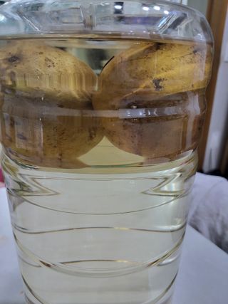 이연화님의 자유주제 · 자유게시판 작성글 사진