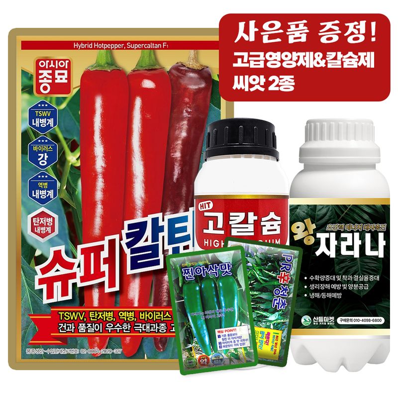 산들마켓,씨앗마켓님의 장터 판매 상품 [산들마켓 슈퍼칼탄 고추 씨앗 1200립 복합내병계 극대과종 중만생종 고추씨 종자] 첨부 사진