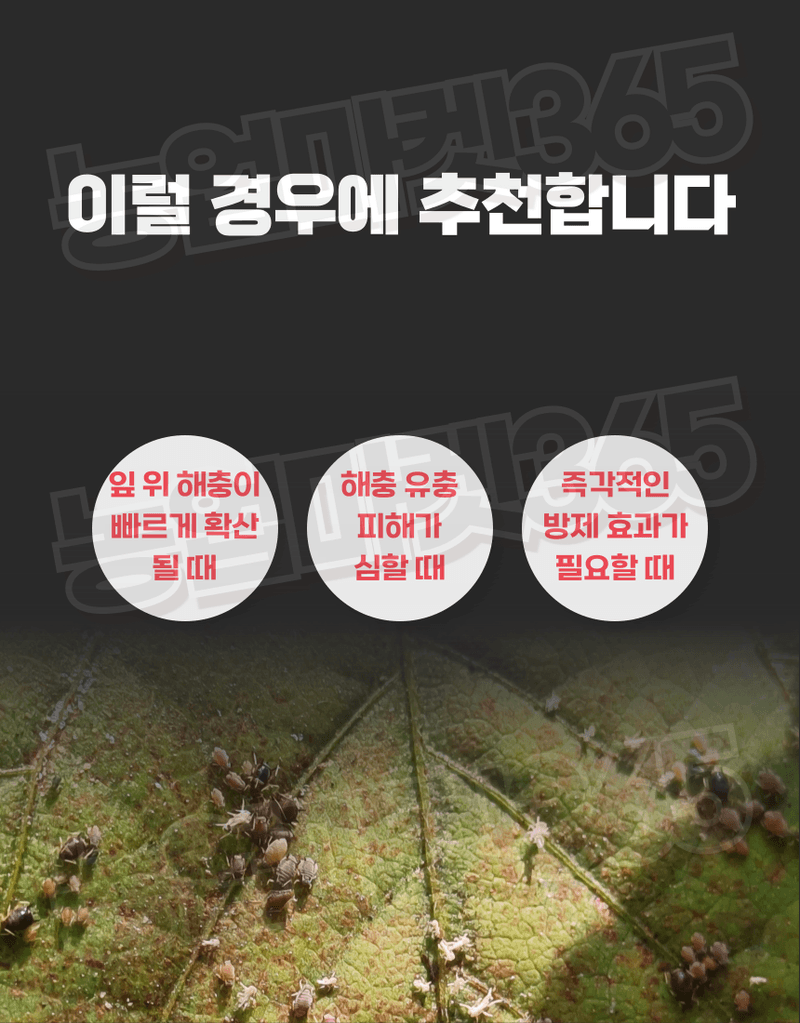 농업마켓365님의 장터 판매 상품 [농업마켓365 융전 총채진나방킬 수화제 100g 유기농업자재 병해충 친환경 총채벌레 나방벌레 진딧물 살충 비티균 ] 첨부 사진