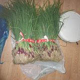 팜모닝 자유주제·자유게시판 게시글 이미지