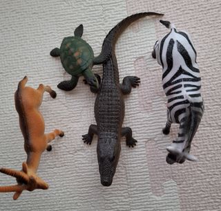 MSG0074님의 자유주제 · 자유게시판 작성글 사진