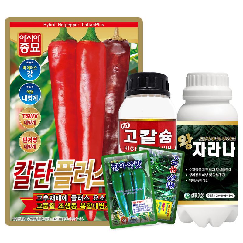 장터 상품 [산들마켓 칼탄플러스 고추 씨앗 1200립 복합내병계 중대과종 조생종 건고추씨 종자] 썸네일