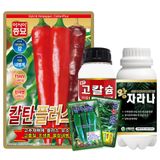 팜모닝 · 게시글 이미지