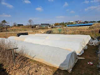 임병국(남리ㅡ림)님의 자유주제 · 자유게시판 작성글 사진