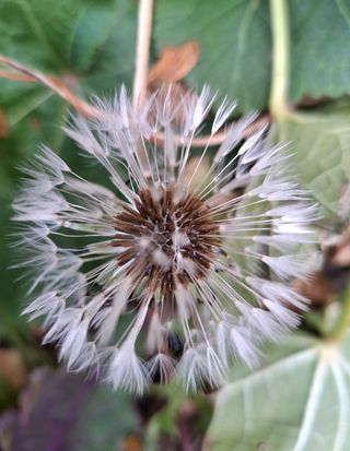 MSG0074님의 자유주제 · 자유게시판 작성글 사진