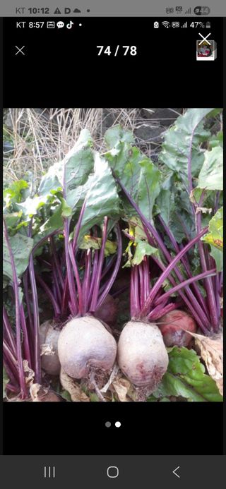 김화석님의 작성글 사진