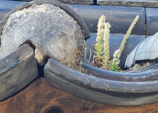 하은와송~♡♡♡~님의 자유주제 · 자유게시판 작성글 사진