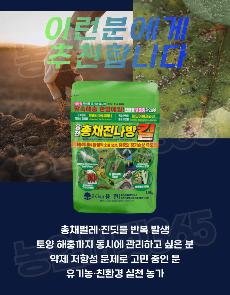 농업마켓365님의 장터 판매 상품 [농업마켓365 융전 총채진나방킬 1.5kg 유기농업자재 친환경토양살충제 총채벌레 나방벌레 진딧물 살충 한방에 킬] 첨부 사진