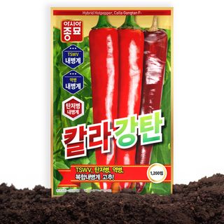 산들마켓,씨앗마켓님의 작성글 사진