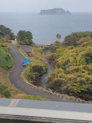하나라도 소중하게님의 자유주제 · 자유게시판 작성글 사진