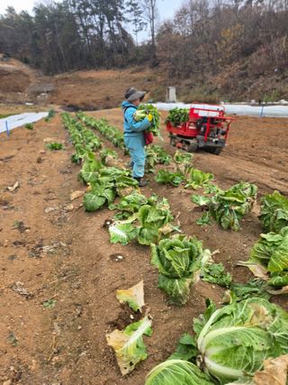 참깨김성욱9810님의 자유주제 · 자유게시판 작성글 사진