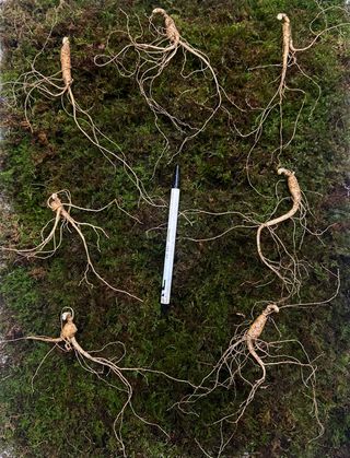 진상빈님의 작성글 사진