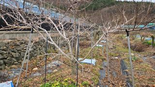 오현성님의 자유주제 · 자유게시판 작성글 사진