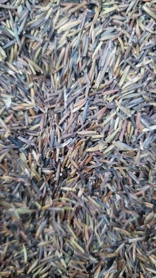 병풍취산채농원님의 작성글 사진