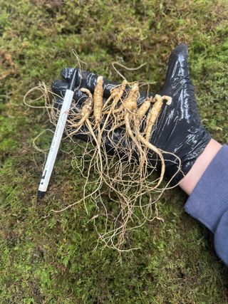 진상빈님의 작성글 사진