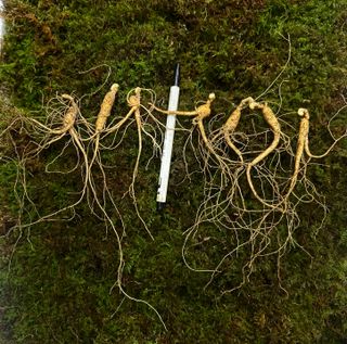 진상빈님의 작성글 사진