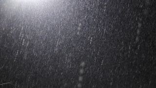 백용기님의 자유주제 · 자유게시판 작성글 사진